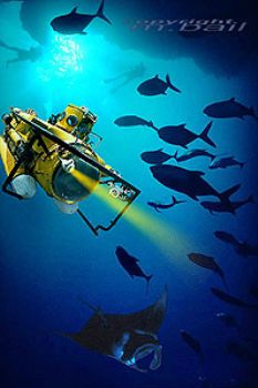 palau - submarine chasing manta - photoshop by Manfred Bail 
